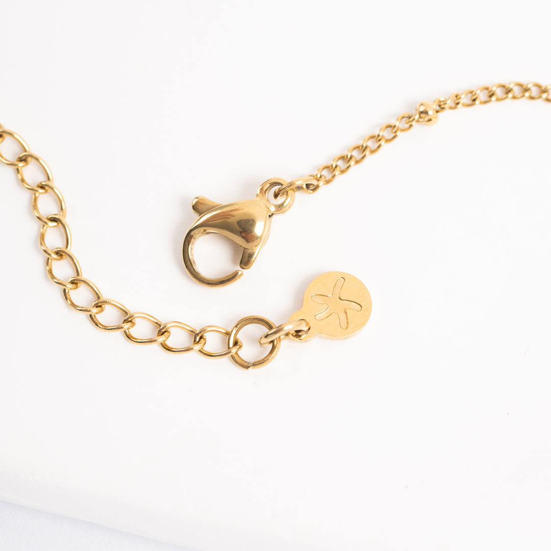 Photo of 14k gold plated stainless steel chain, necklaces, Starfish Project, Starfish reviews, jewelry store, necklace brands, adjustable gold chain