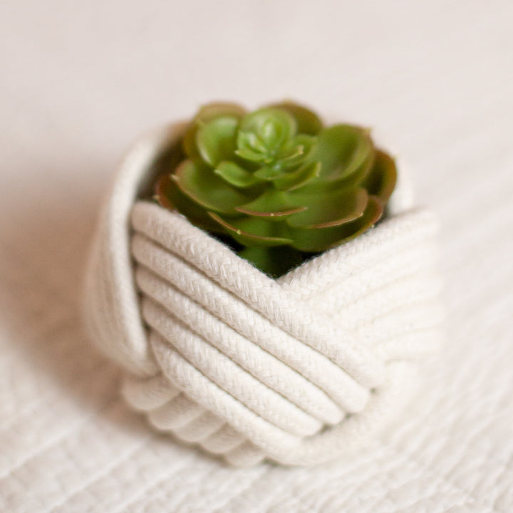 Multi-use plant holder, handcrafted, beautifully designed, fashion home decorations