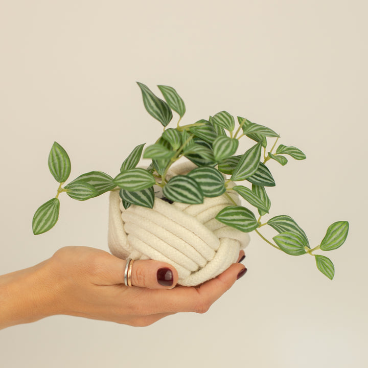 White planter, accessories and jewelry store, gift shops near me, artisan business
