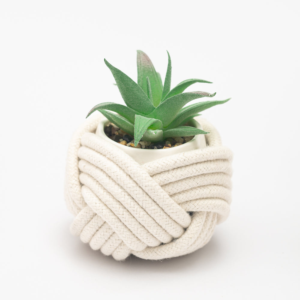 Plant in plant holder, women's jewelry business, fair trade organizations, freedom businesses, mini white plant holder