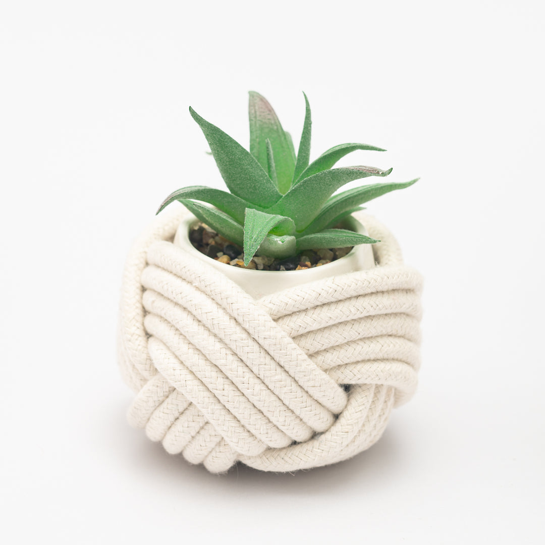Plant in plant holder, women's jewelry business, fair trade organizations, freedom businesses, mini white plant holder