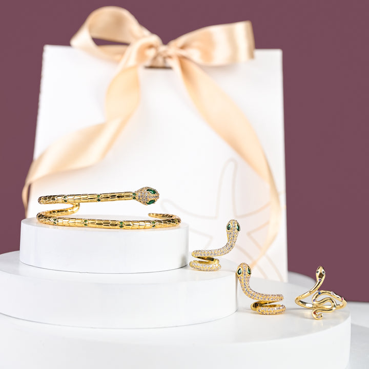 Little Dragon Snake Gift Set