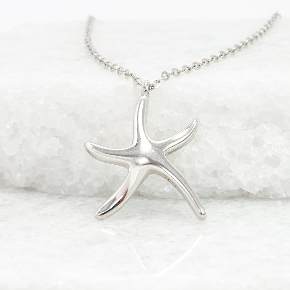 Starfish Hope Necklace in Silver