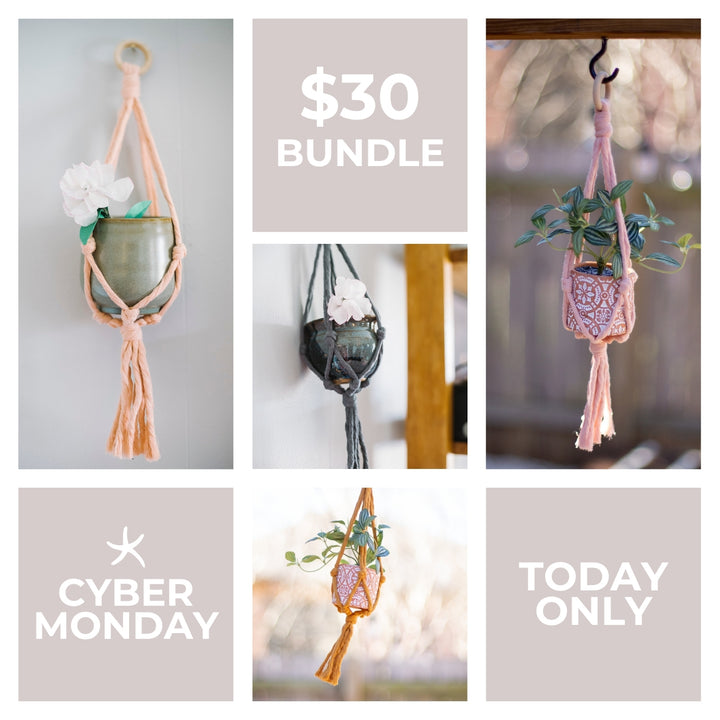 Flourish Doorbuster Set