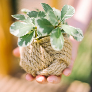 Cute plant holder, home decorations with meaning, best fair trade business