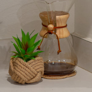 Plant in plant holder, women's jewelry business, fair trade organizations, freedom businesses