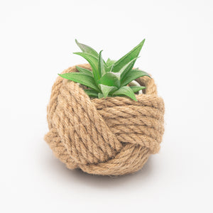 Jute planter, accessories and jewelry store, gift shops near me, artisan business