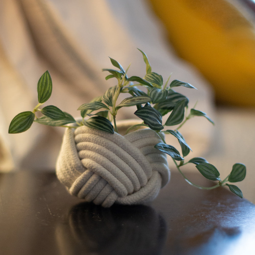 Quality home decor, everyday home decor, mother's day gift ideas, white planters