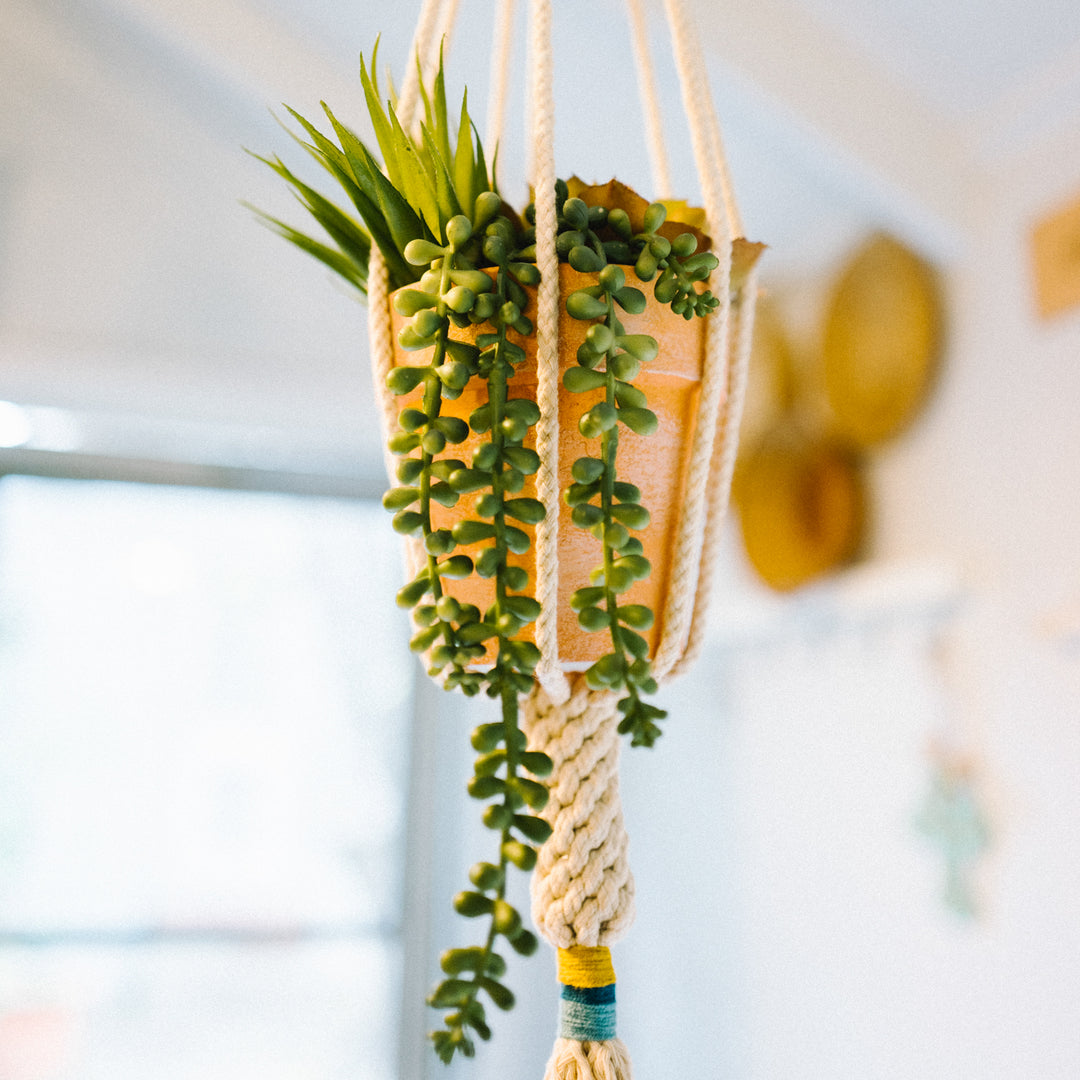 plant bracket hanger The Dignity Plant Hanger- Mustard – Starfish Project