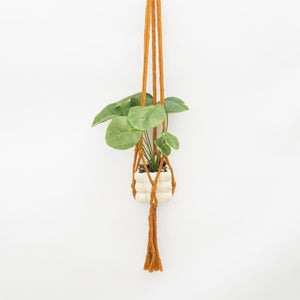 Flourish Plant Hanger Mustard