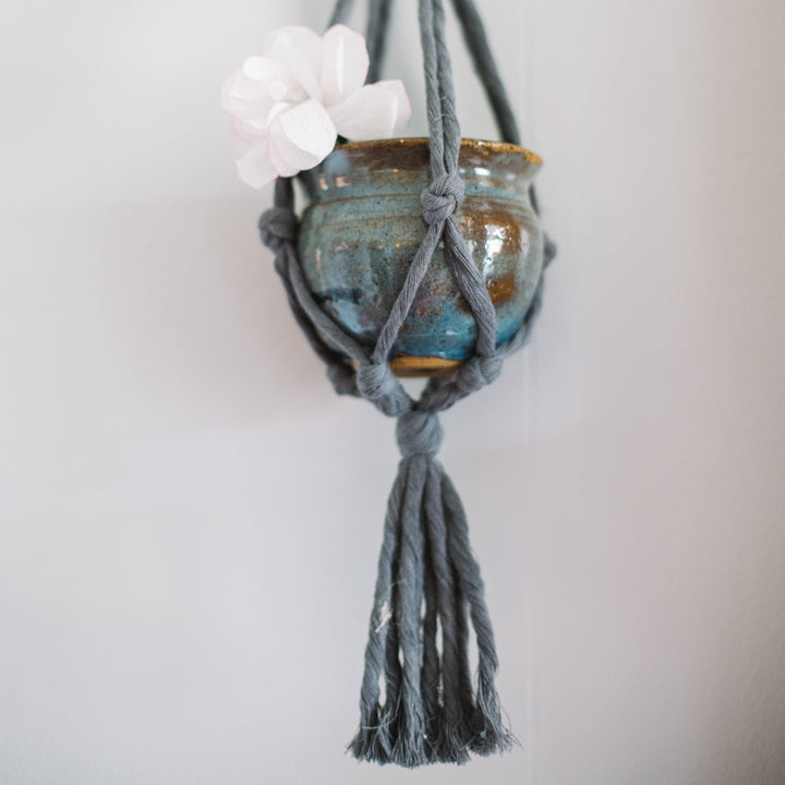 Flourish Doorbuster Set