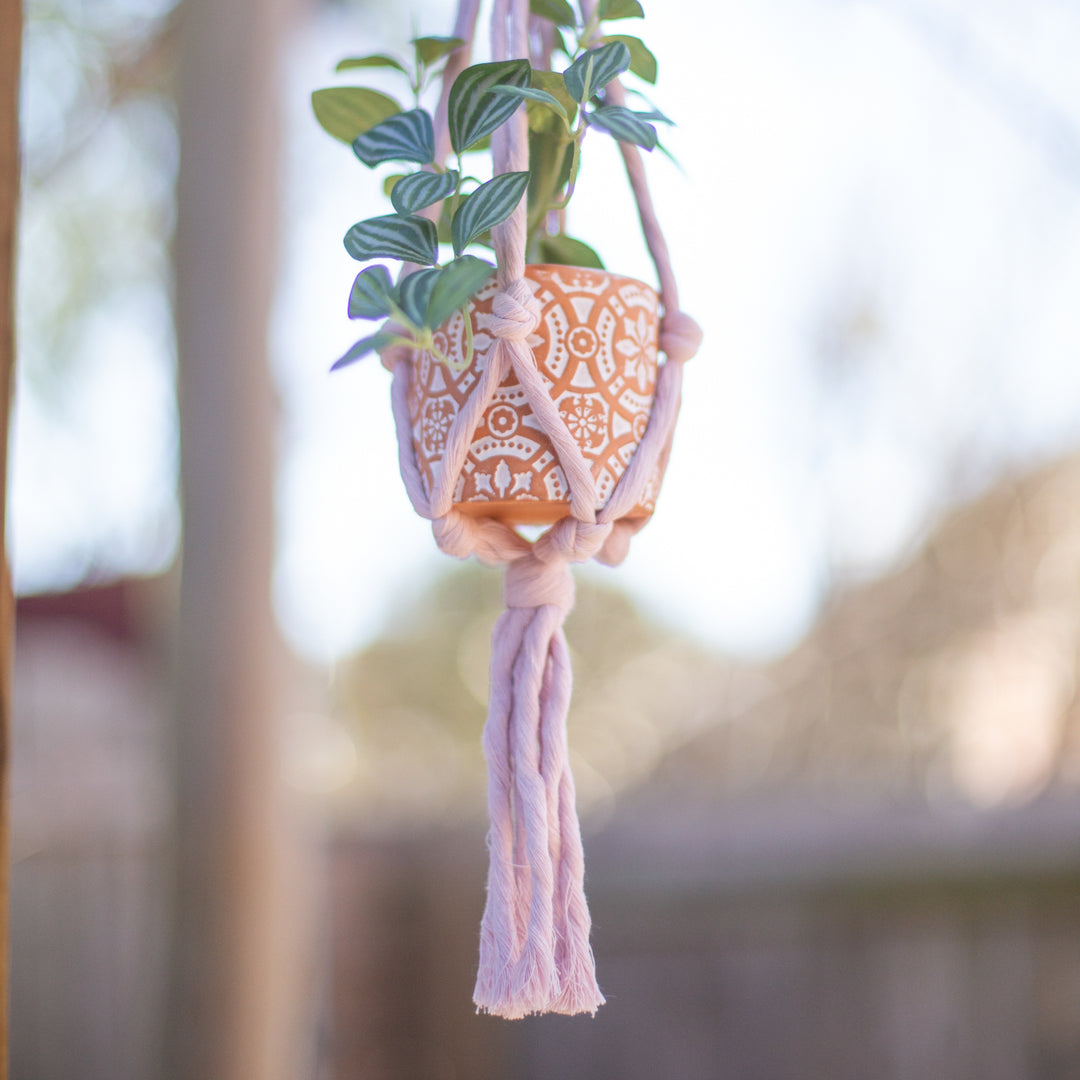 mini plant hanger diy Mini Flourish Plant Hanger Lavender