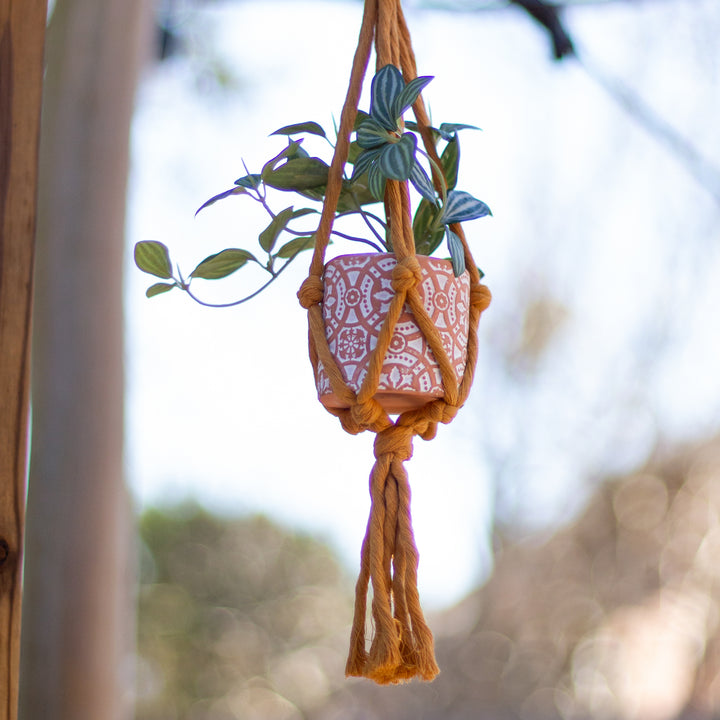 mini plant hanger Mini Flourish Plant Hanger Mustard – Starfish Project