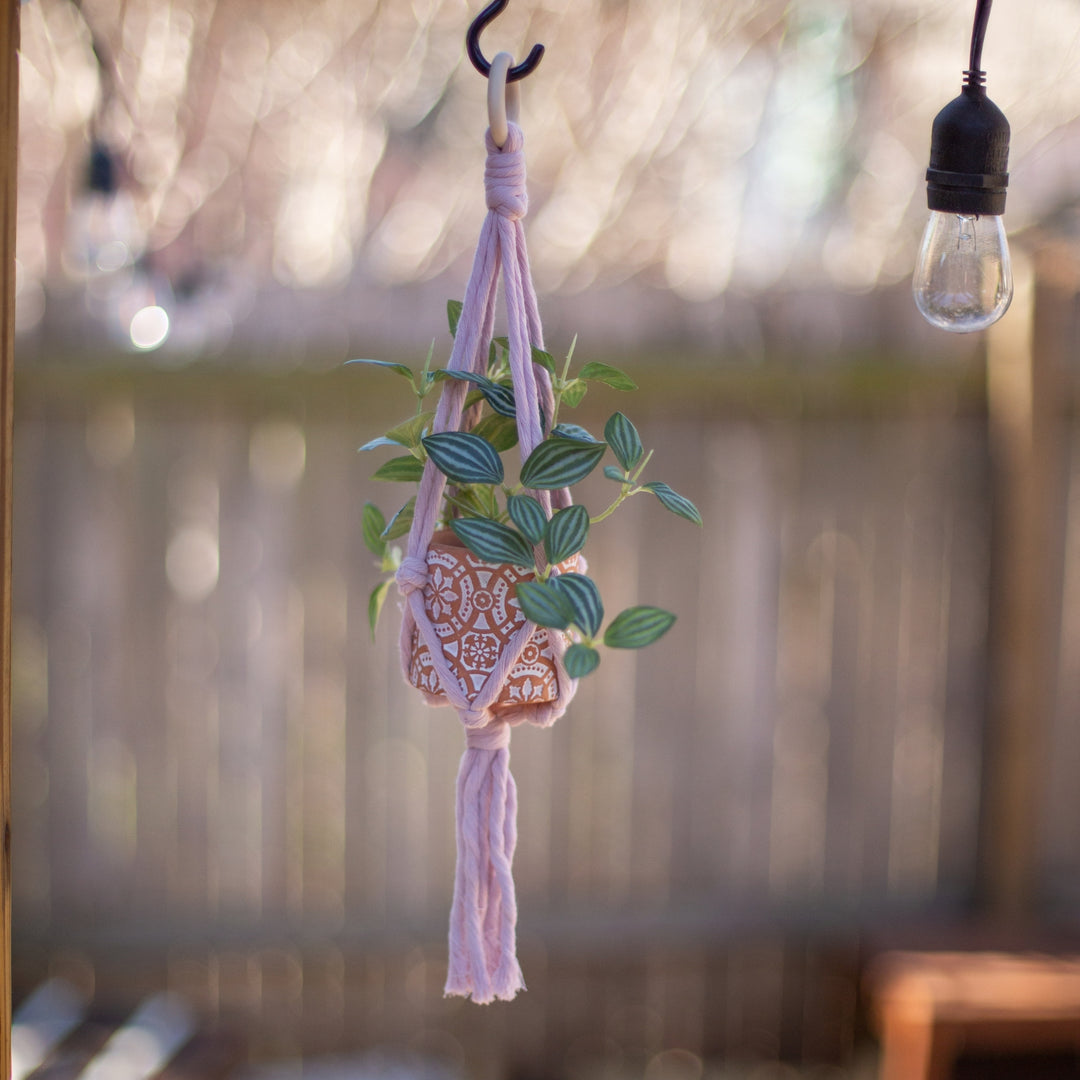 purple macrame plant hanger Mini Flourish Plant Hanger Lavender – Starfish Project