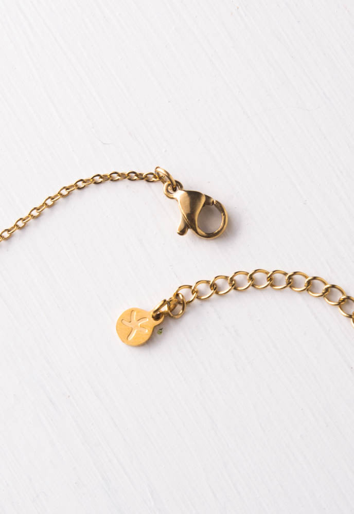 Establishing Independence Necklace