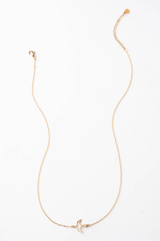 Establishing Independence Necklace