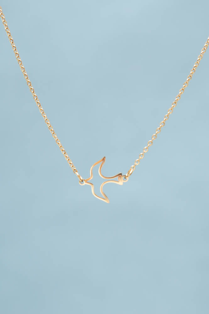 Establishing Independence Necklace